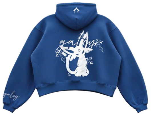ESPION  SAPPHIRE HOODIE